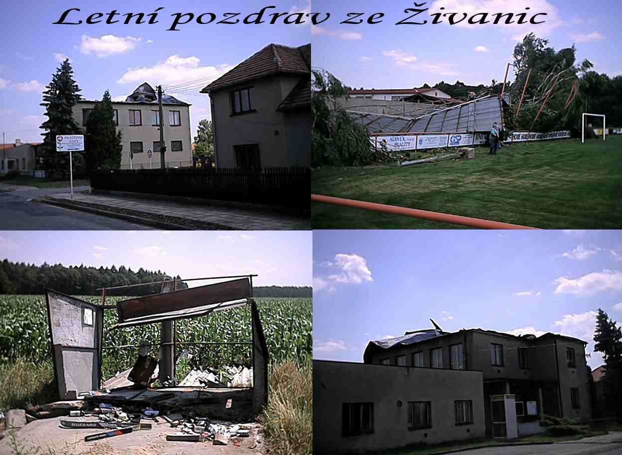 [http://kutilska.poradna.net/file/view/447-pohledni ce-zivanice-jpg]