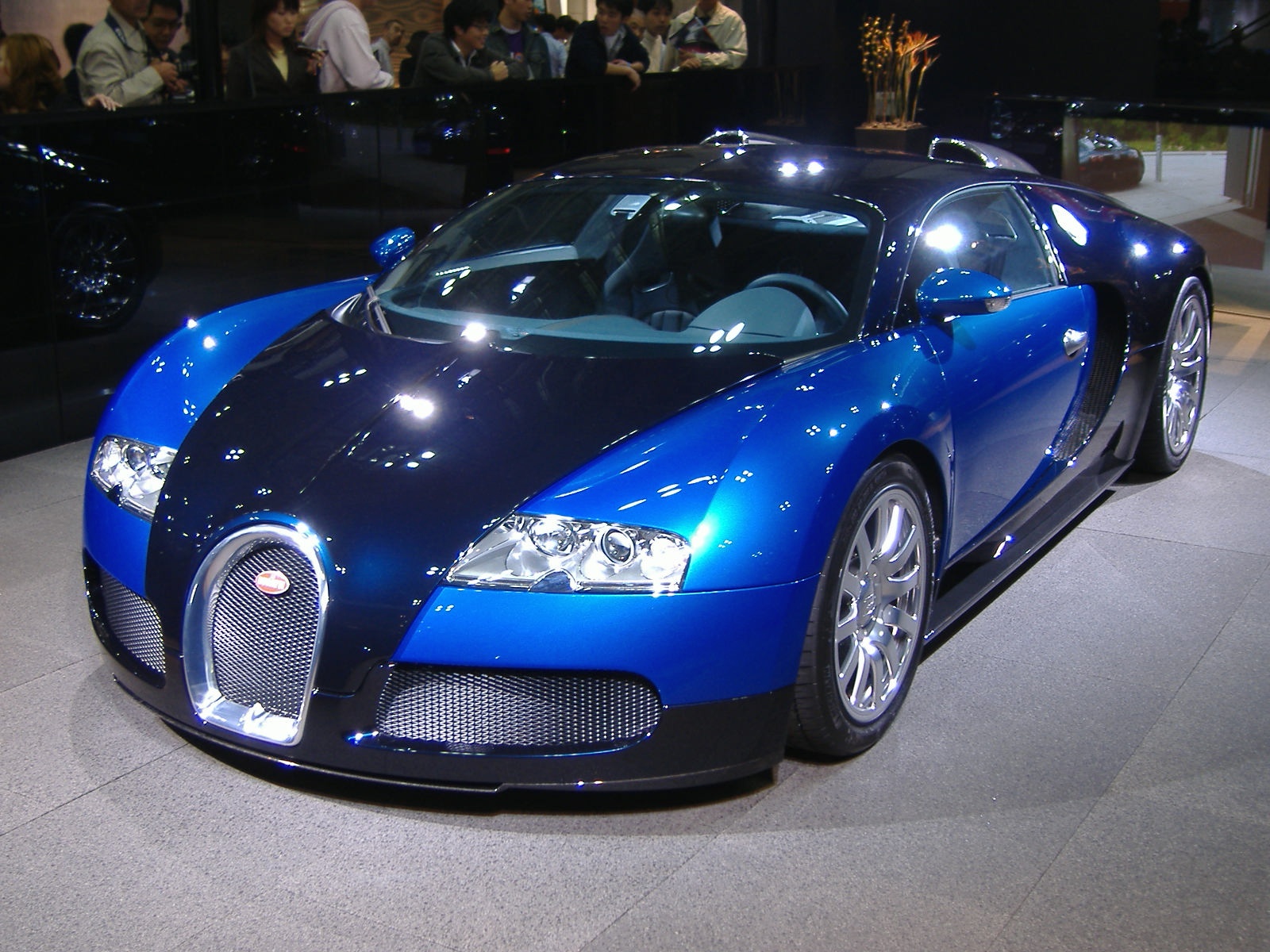 http://kutilska.poradna.net/file/view/750-veyron-j pg